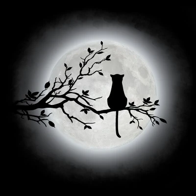 Junior's Design By Humans The Cat And The Moon By Maryedenoa T-Shirt