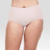 Hanes Premium Women's 4pk Tummy Control Briefs - Gray/Beige/Black