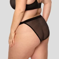 Curvy Couture Women's Plus Size Sheer Mesh String Bikini Panty