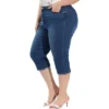 Agnes Orinda Women's Plus Size Jeans Zipper Back Yoke Stretch Roll Up Cuff Denim Pants