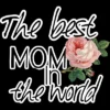 Junior's Design By Humans Mother's Day Best Mom In The World By Bambino T-Shirt