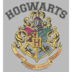 Junior's Harry Potter Vintage Hogwarts Crest T-Shirt