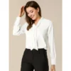 Allegra K Women's Long Sleeve Pleated Tie Neck Office Blouses